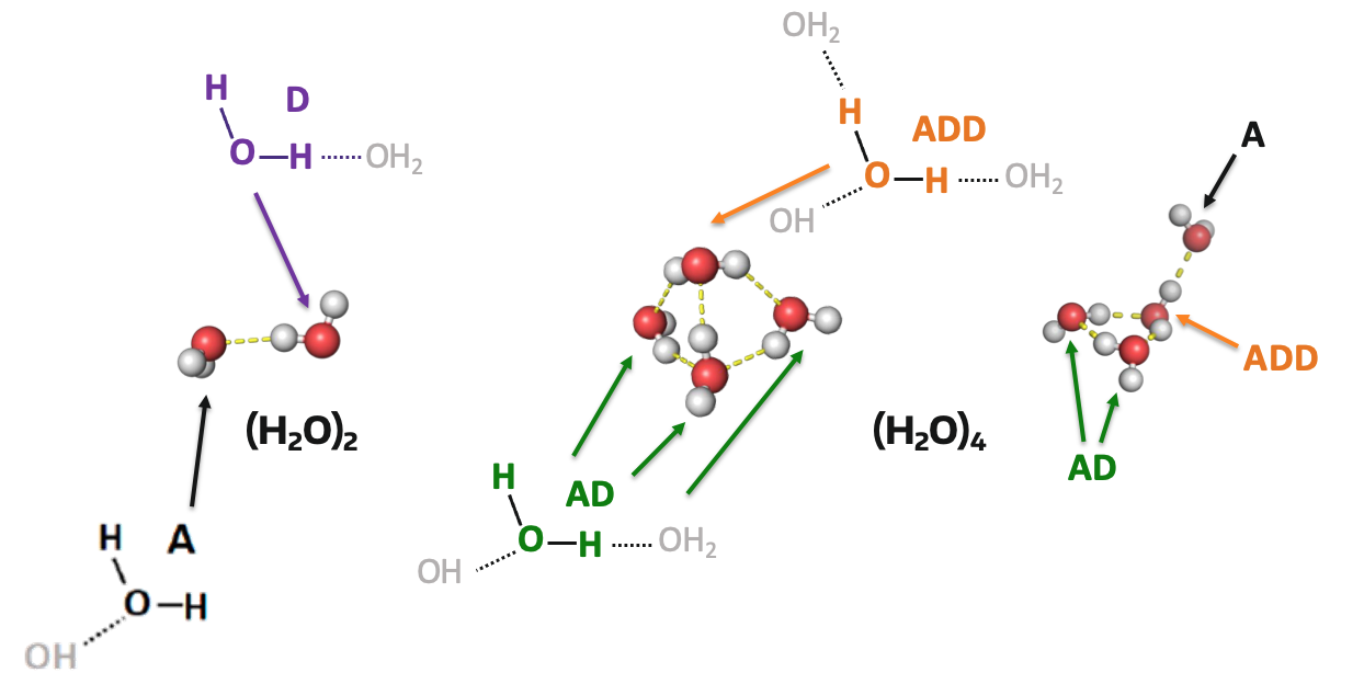 Hydrogen Bonding Environments
